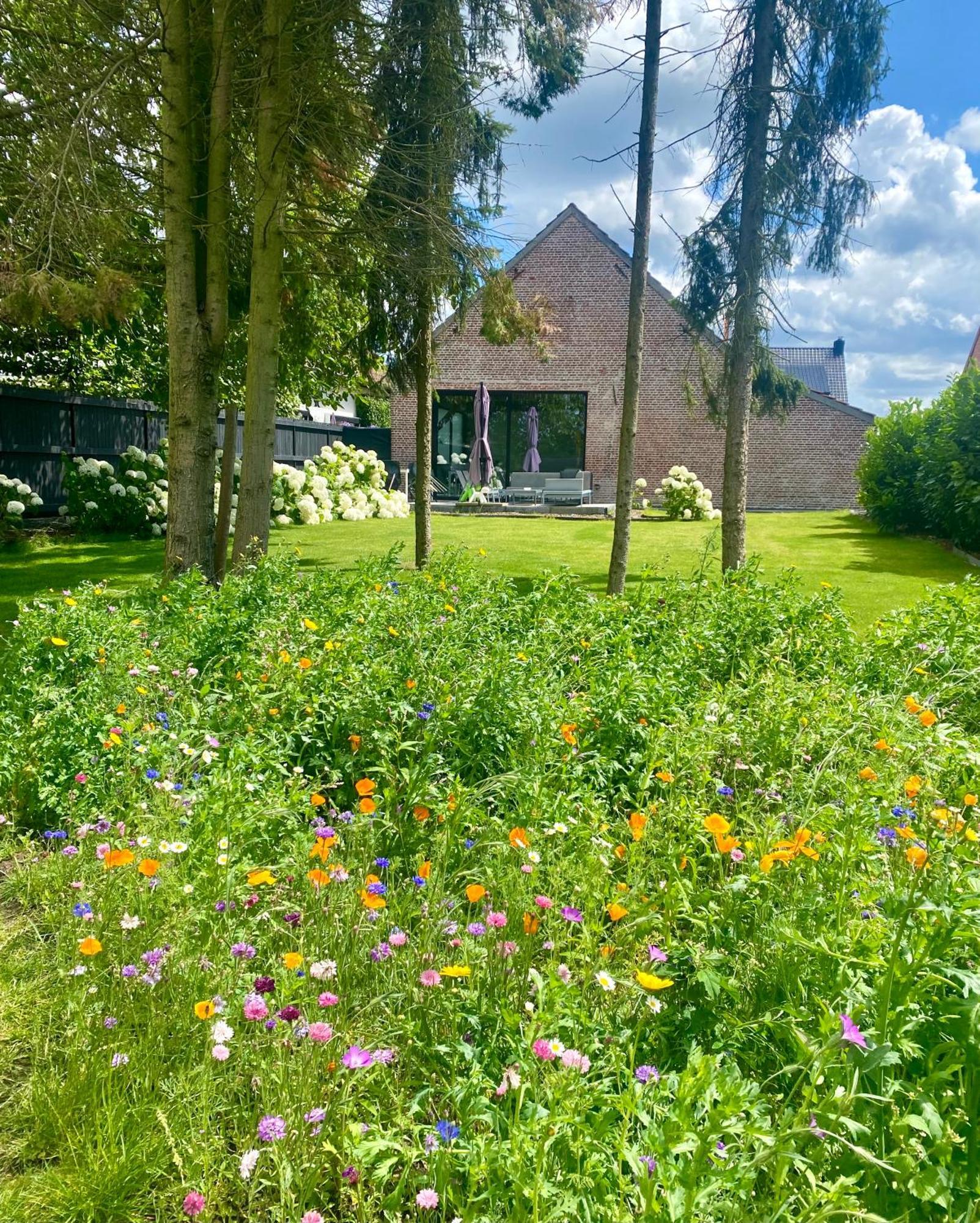 Hoeve De Kleinheide Десел Екстериор снимка